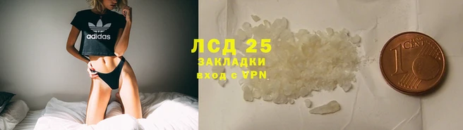 молекула духа Аркадак