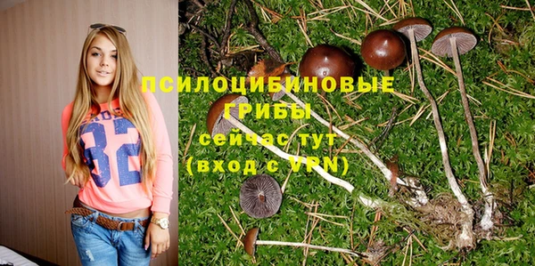 mdpv Арсеньев