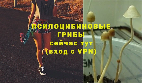 молекула духа Аркадак