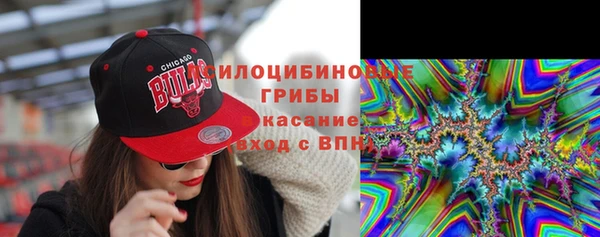 mdpv Арсеньев