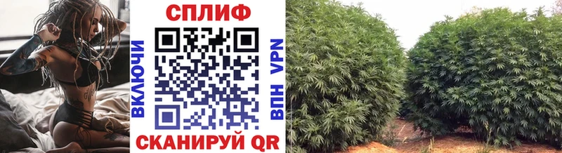 Канабис SATIVA & INDICA  Лукоянов 